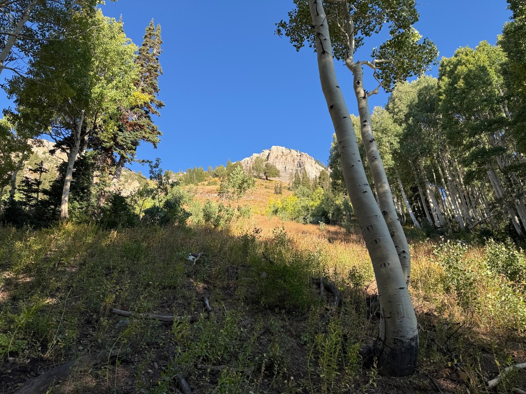 Kessler from the Relsek Trail