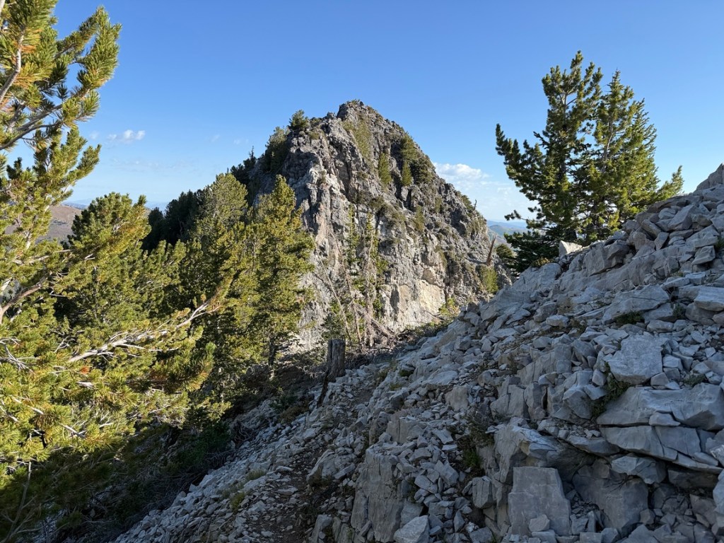 Kessler Peak summit from the south