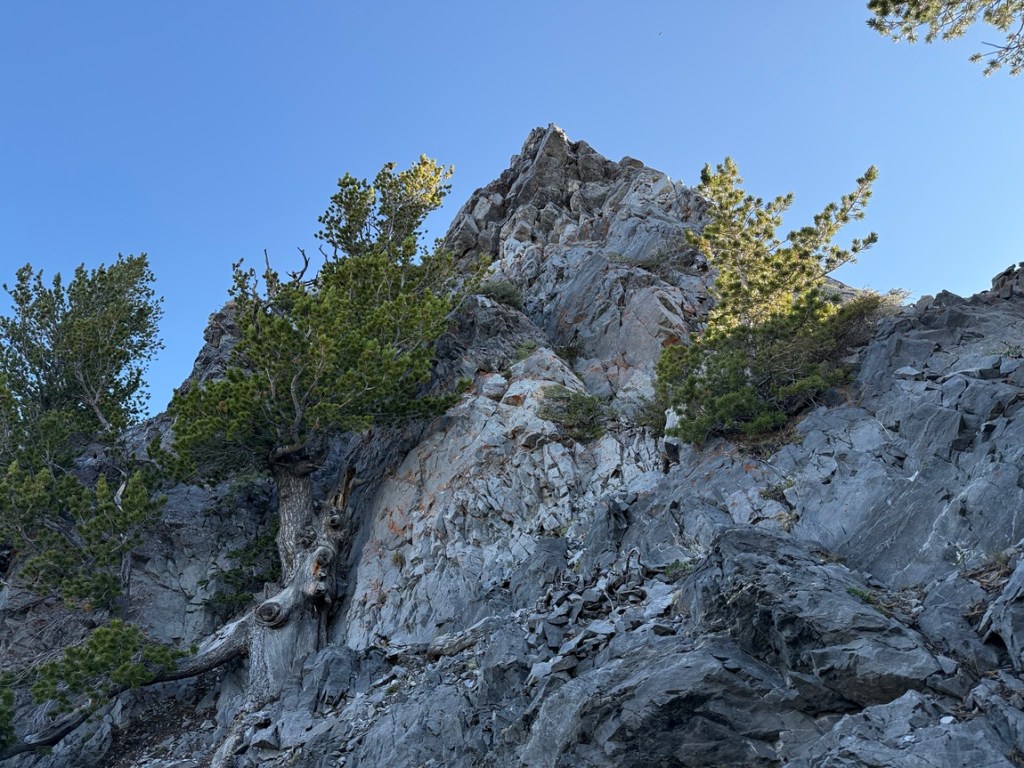 Following the trail near the top of Kessler Peak