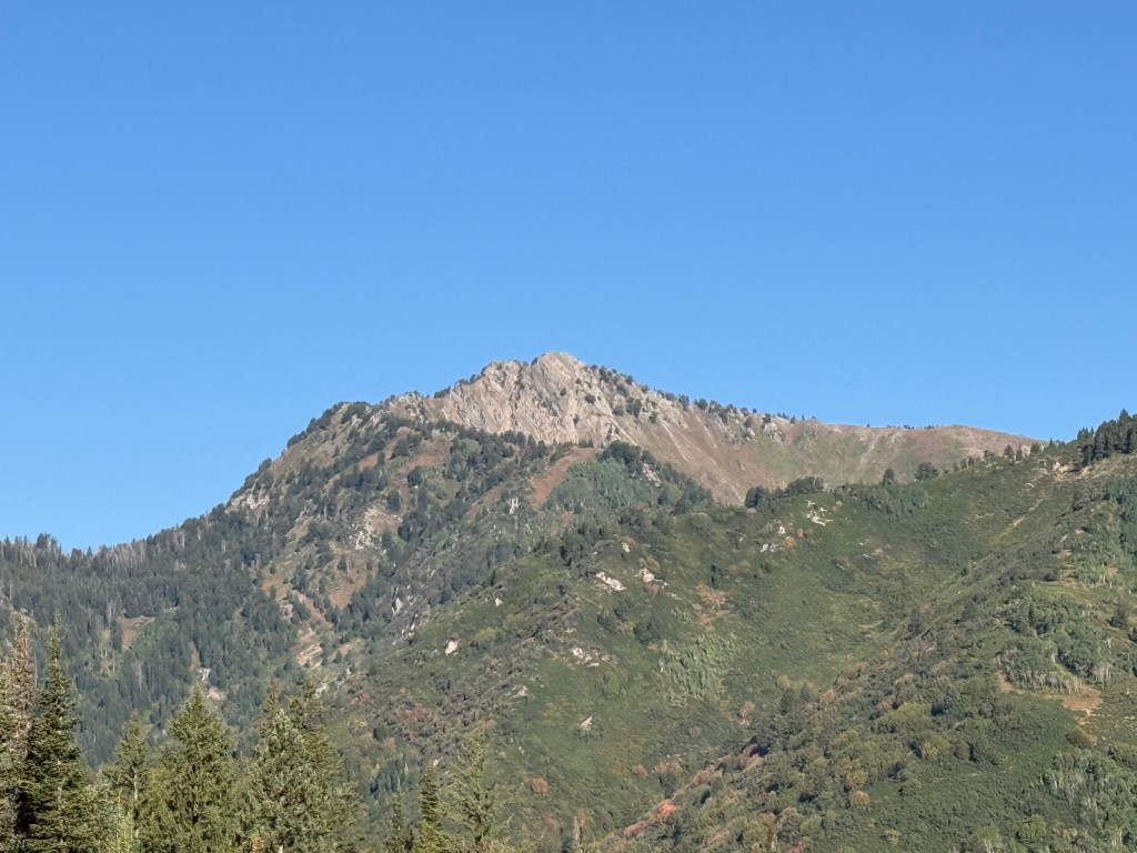 Mt Raymond from the Donut Falls trail