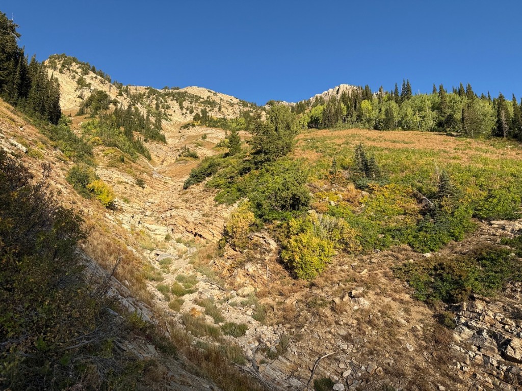 On the way up the Relsek Trail