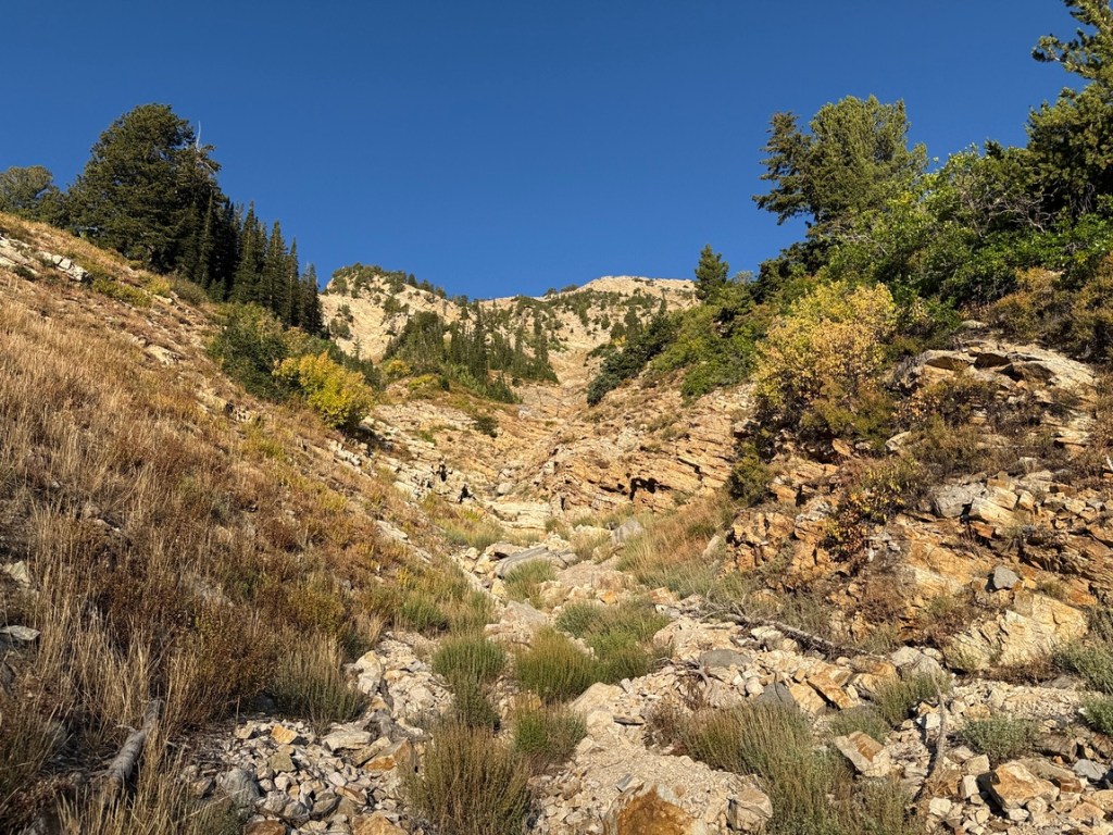 Relsek Trail avalanche chute on the way up Kessler Peak