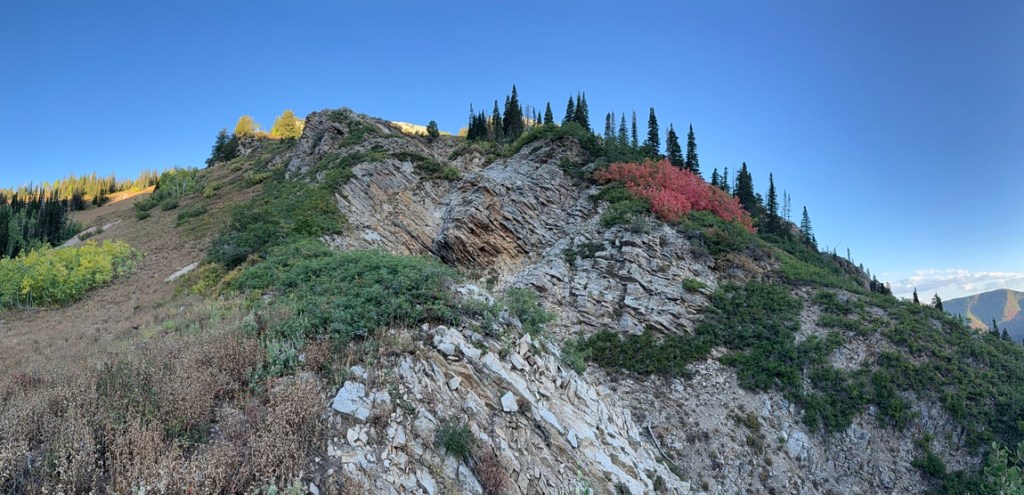 Relsek Trail avalanche path