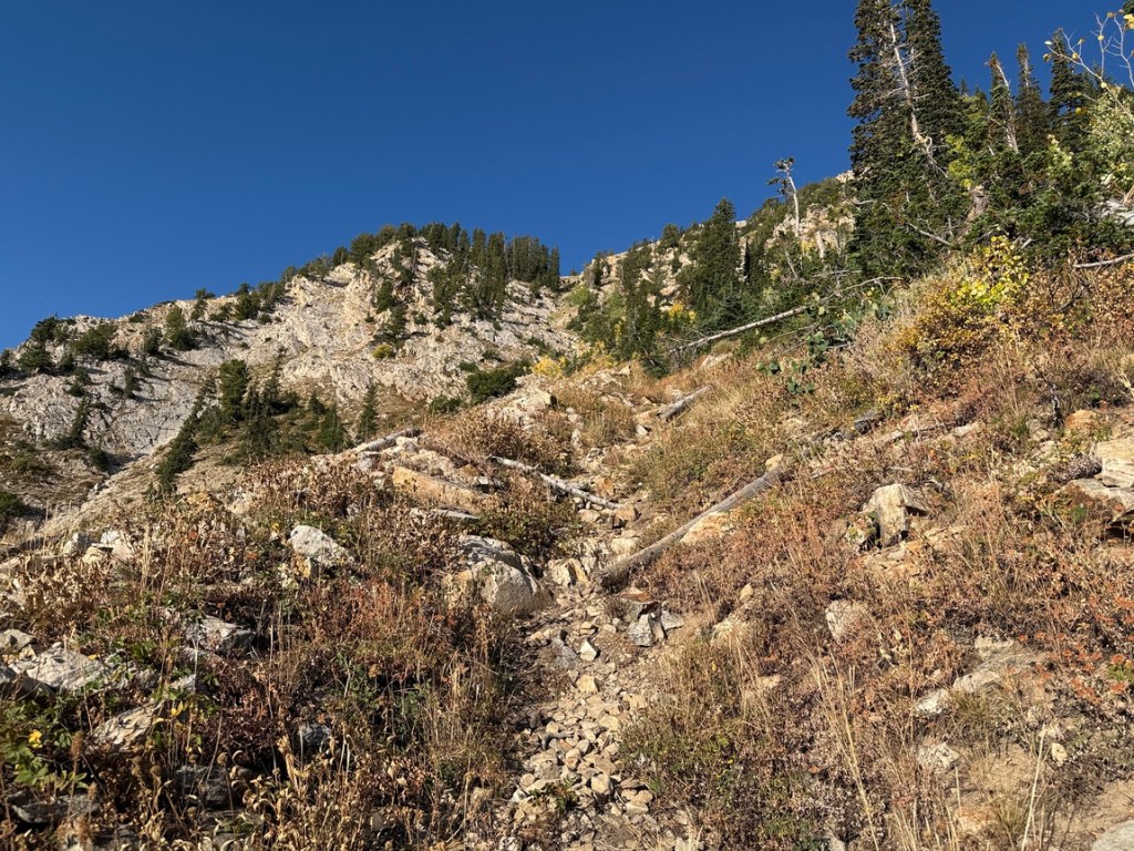 Relsek Trail following a small gully