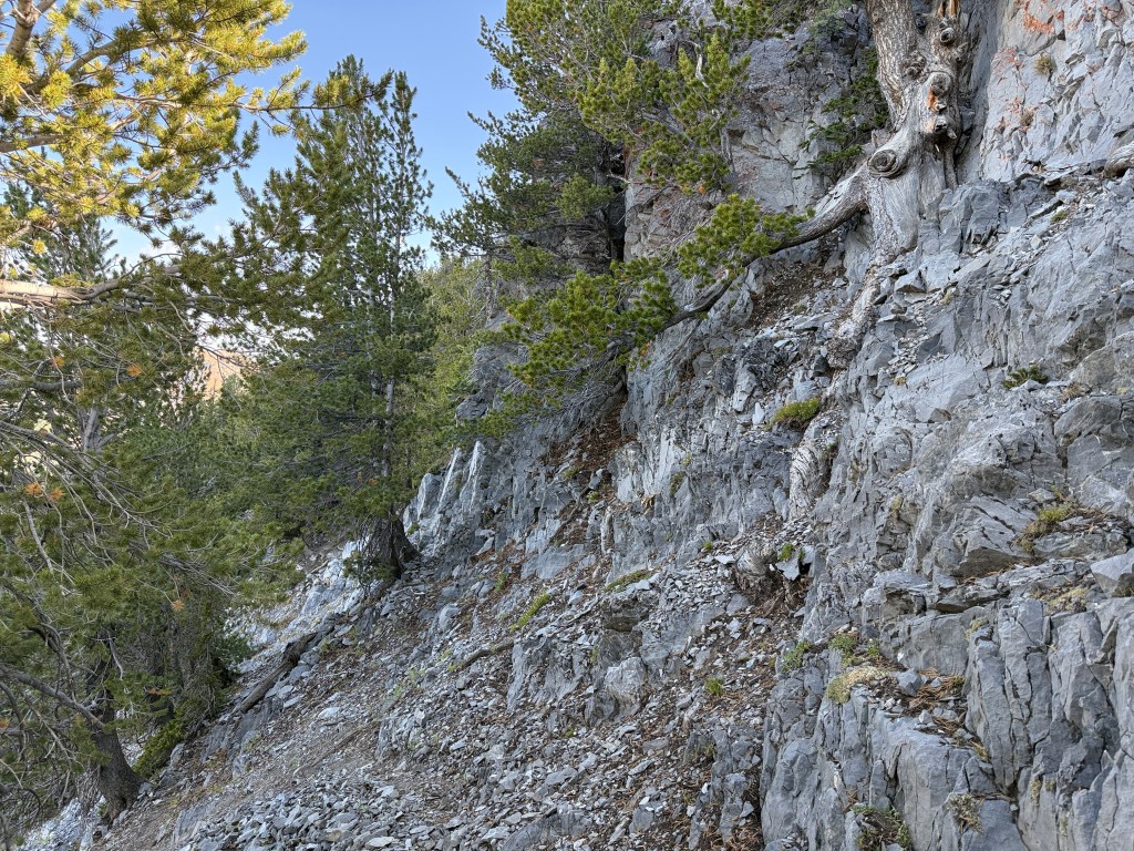 Trail below the Kessler Peak summit