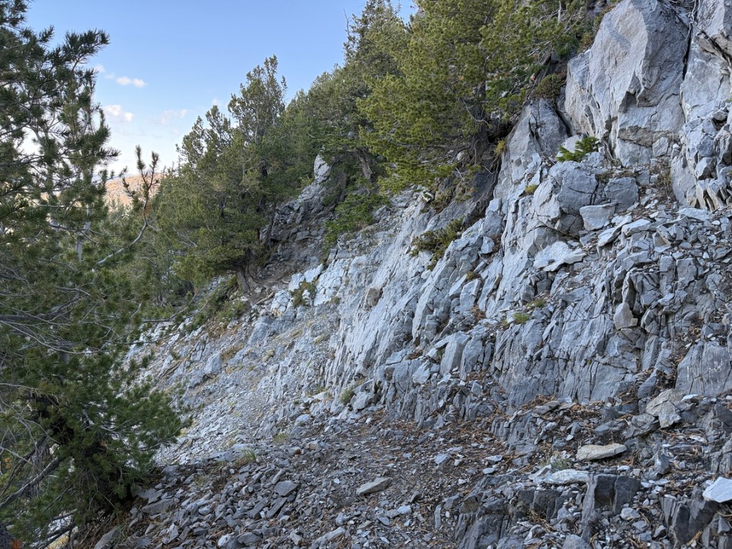 Trail below the summit of Kessler Peak