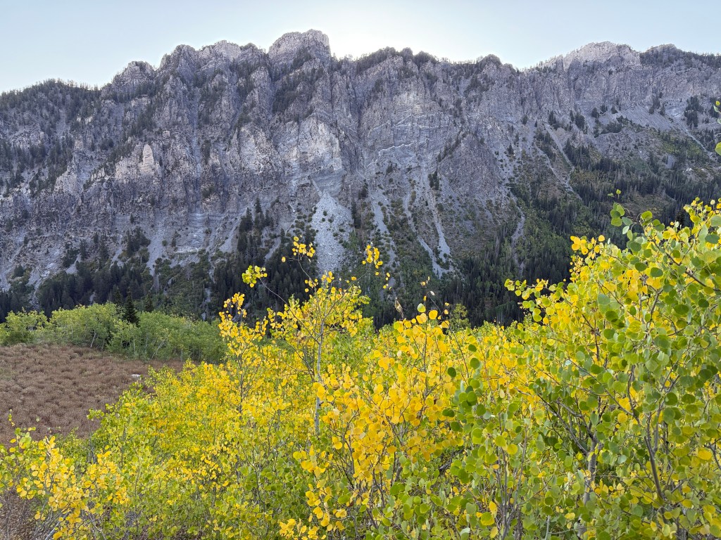 Aspens and mountain view going up the Relsek Trail