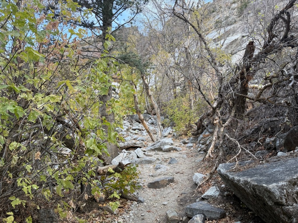 Trail to Lisa Falls