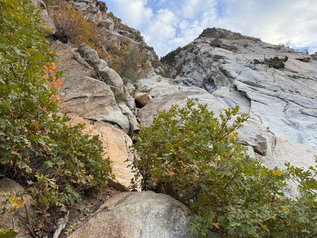 Trail leading up the side of Lisa Falls