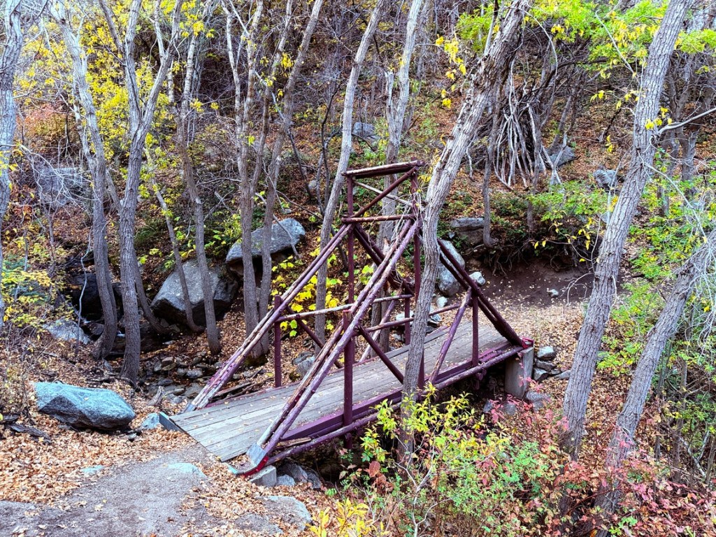 Bridge crossing Bear Creek