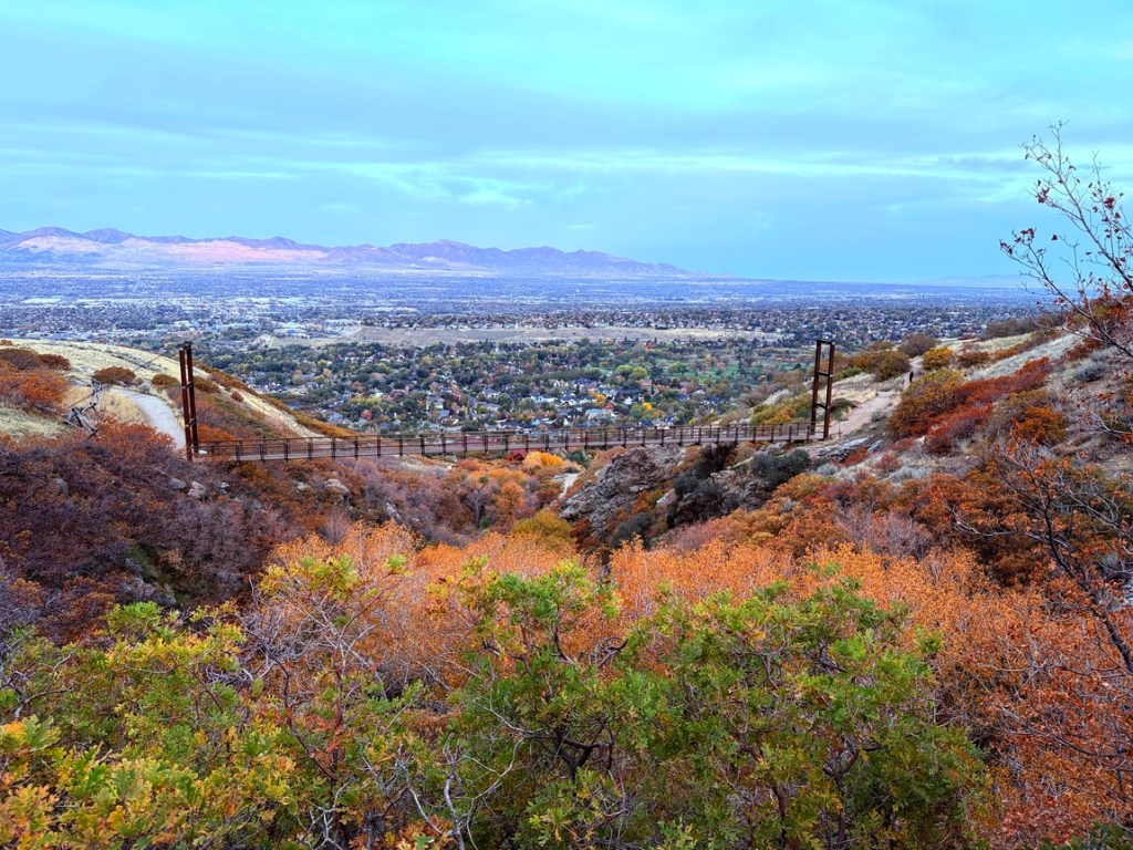 Bear Creek Suspension
