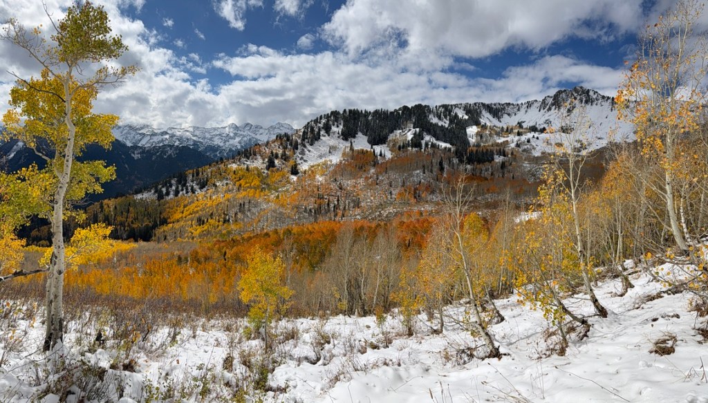 Fall colors with Mt. Raymond on the right