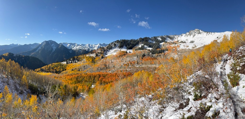 Brilliant fall colors along the Gobblers Knob trail