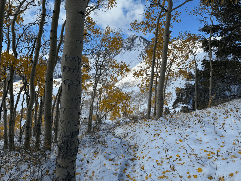 Snow trail on the way up Bakers Pass