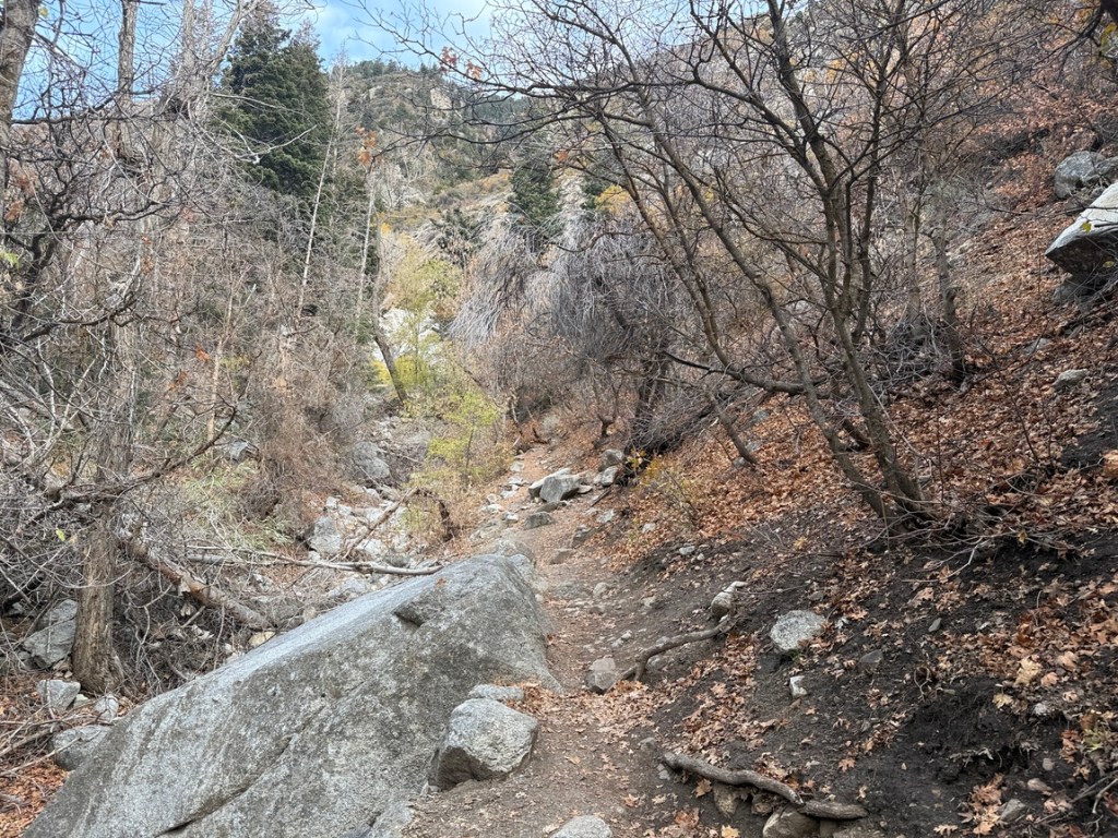 Short trail to Lisa Falls