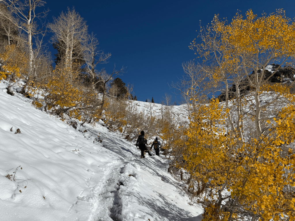 Almost to Bakers Pass