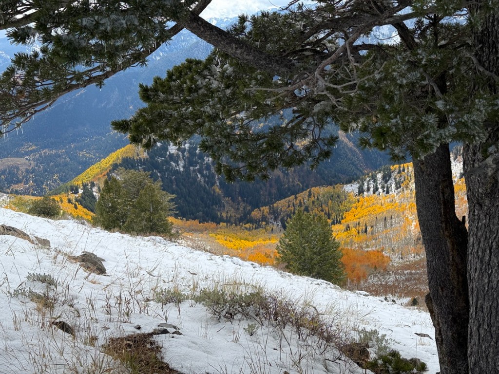 Gorgeous all colors from above Bakers Pass