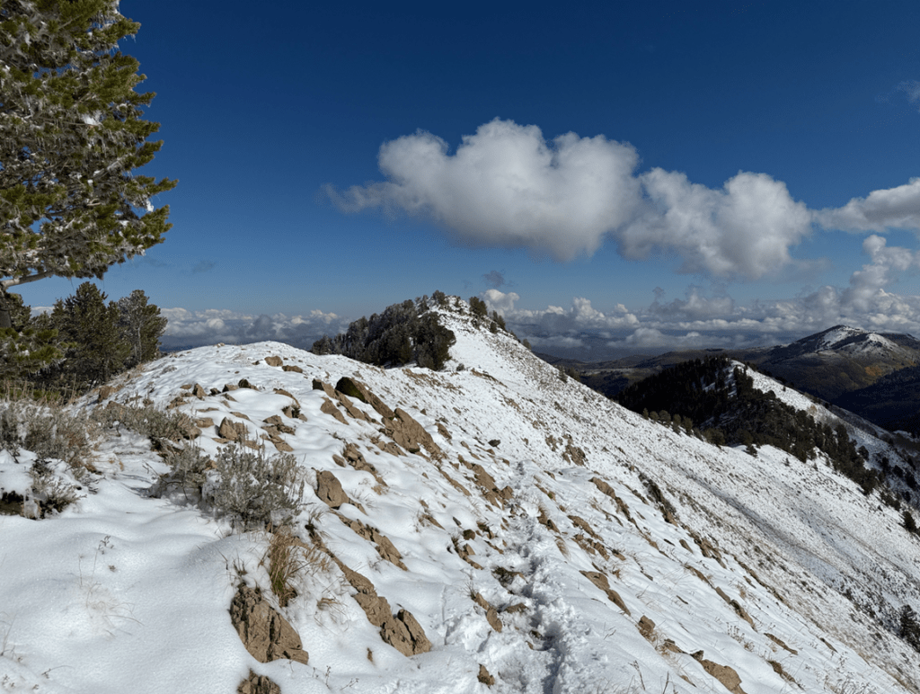 View of Gobblers Knob Summit