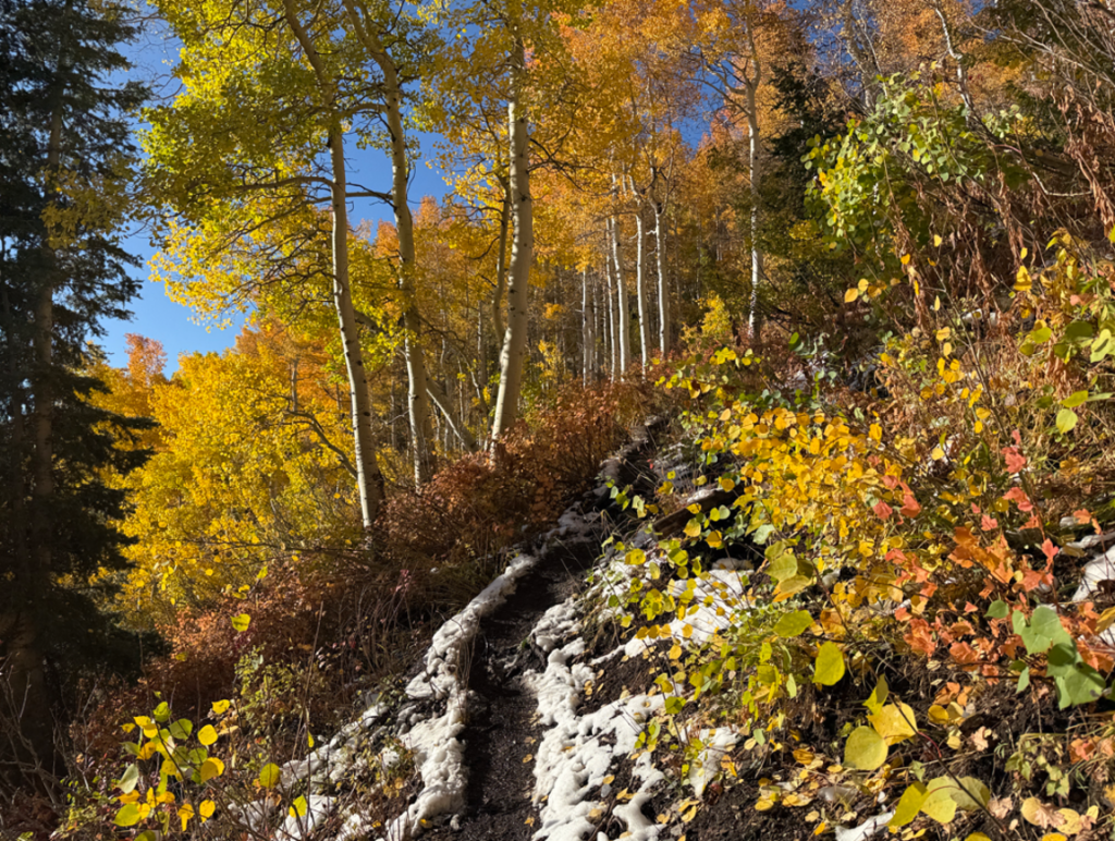 Gobblers Knob trail fall colors