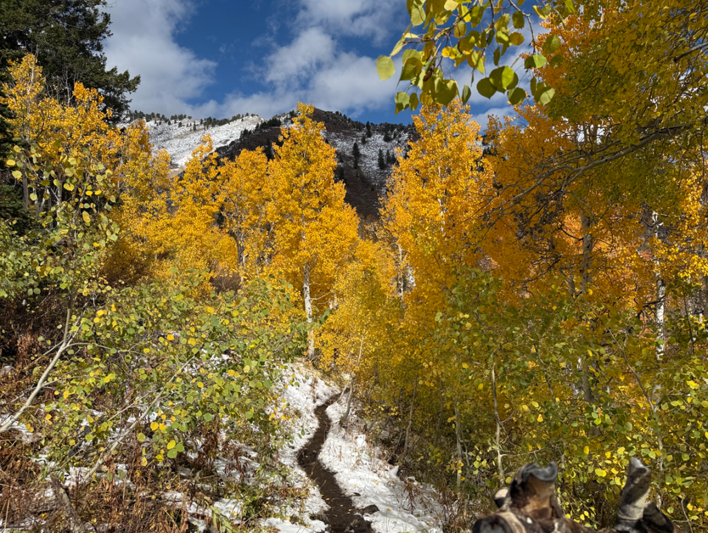 Gorgeous view on the way to Gobblers Knob via the Butler Fork trail in Big Cottonwood Canyon, Utah