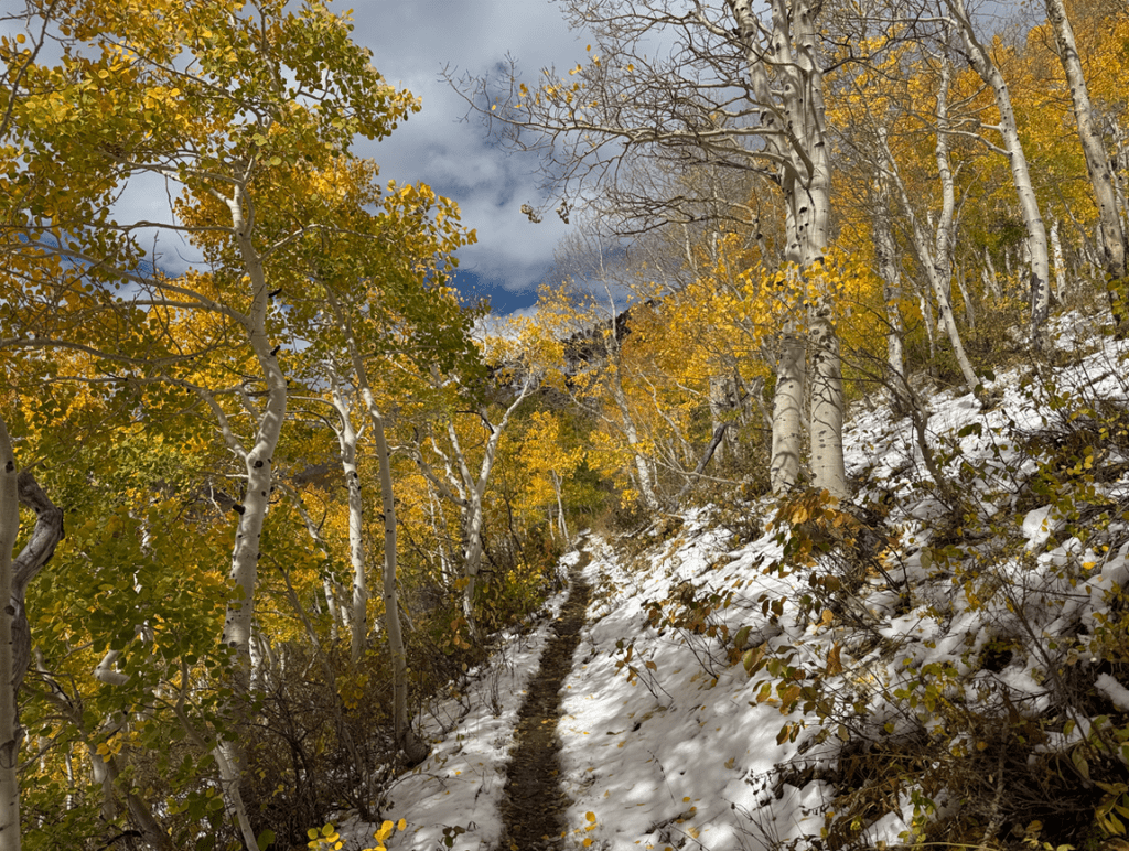 Fall colors along the trail to Gobblers Knob