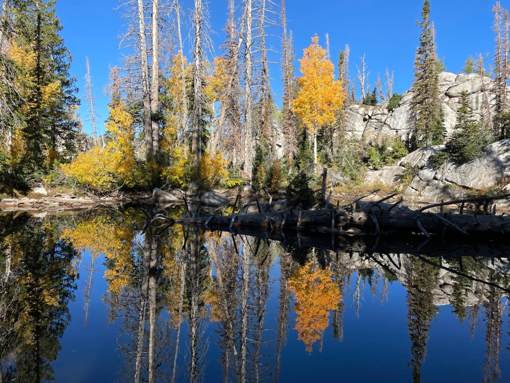 Bell Canyon upper pond