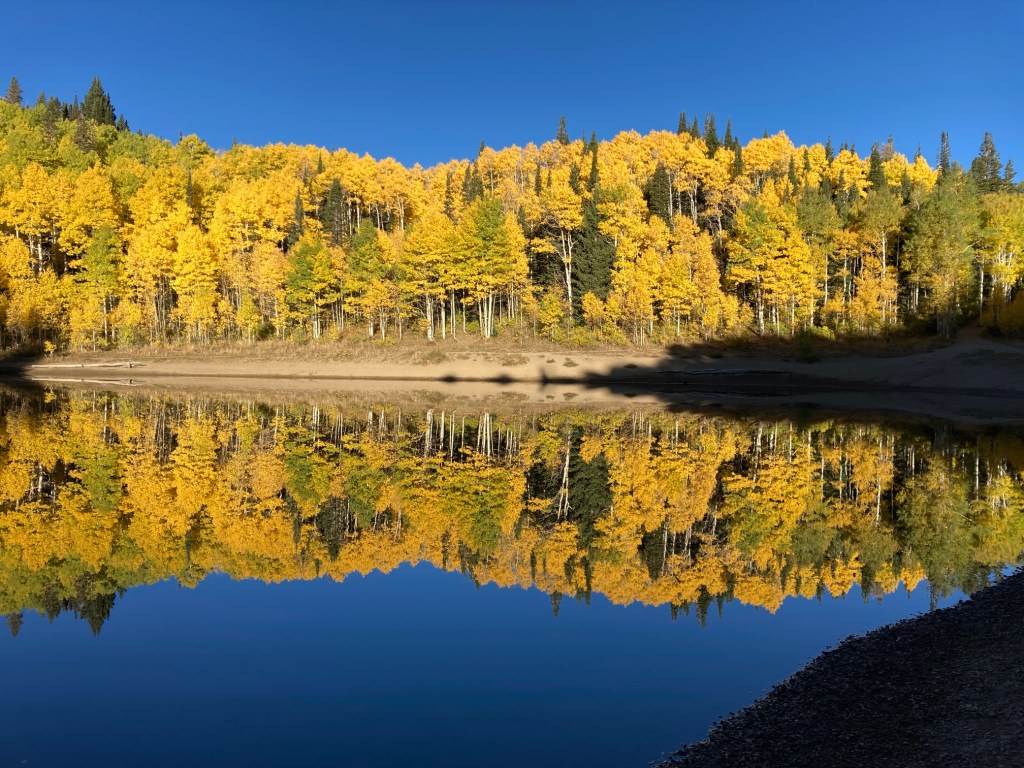 Fall colors reflecting off Dog Lake