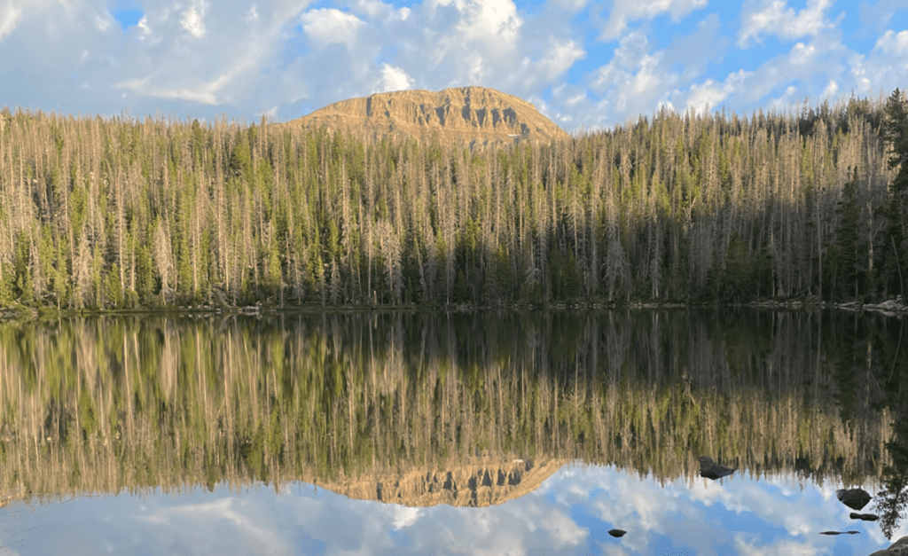 Lake in the Uintas