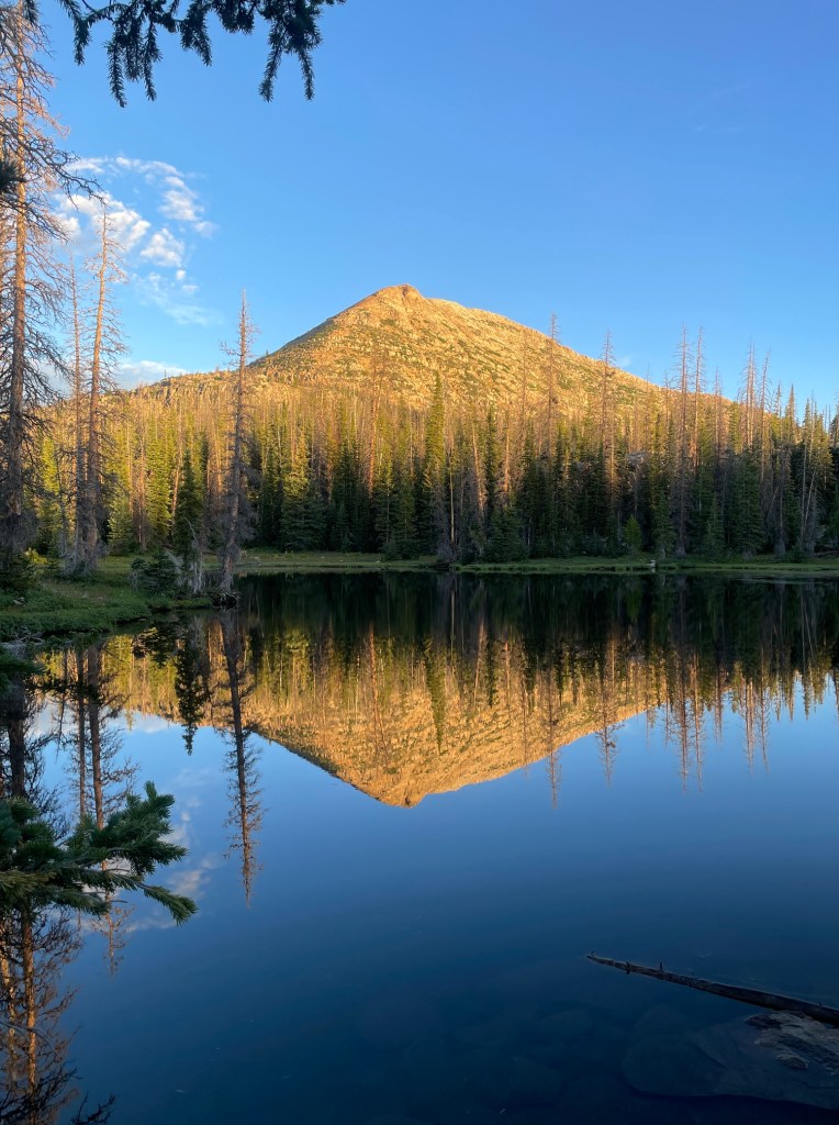 Mt Watson reflection