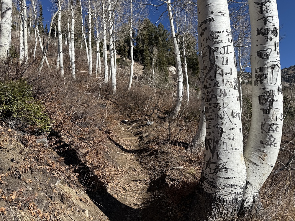 Trail to the Michigan City Road