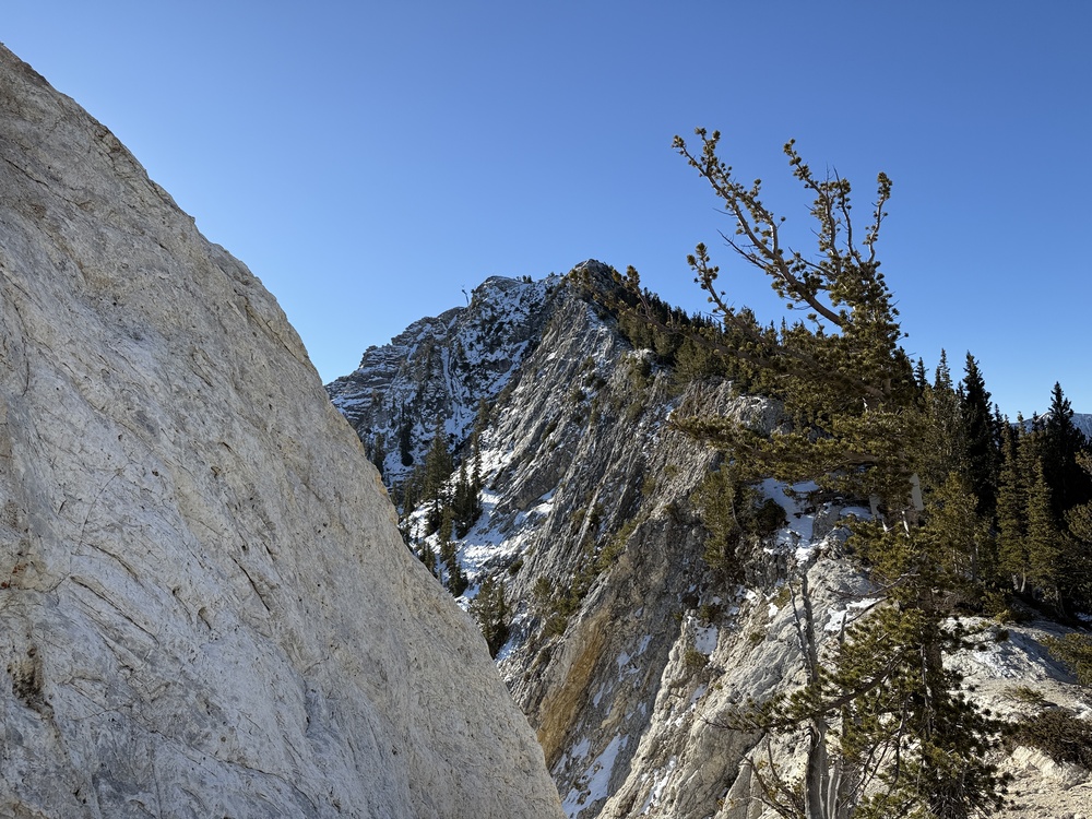 Honeycomb Cliffs view above Prince of Wales Mine