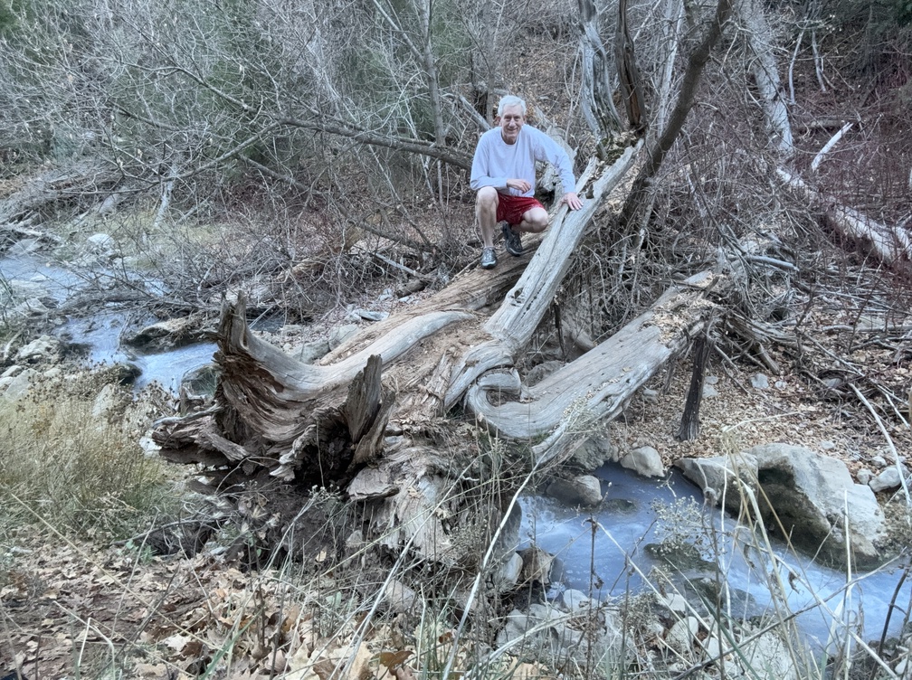 OHD on fallen tree over Fifth Water Creek