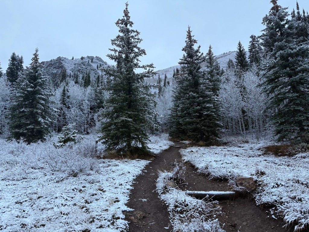 Start of the trail to Desolation Lake