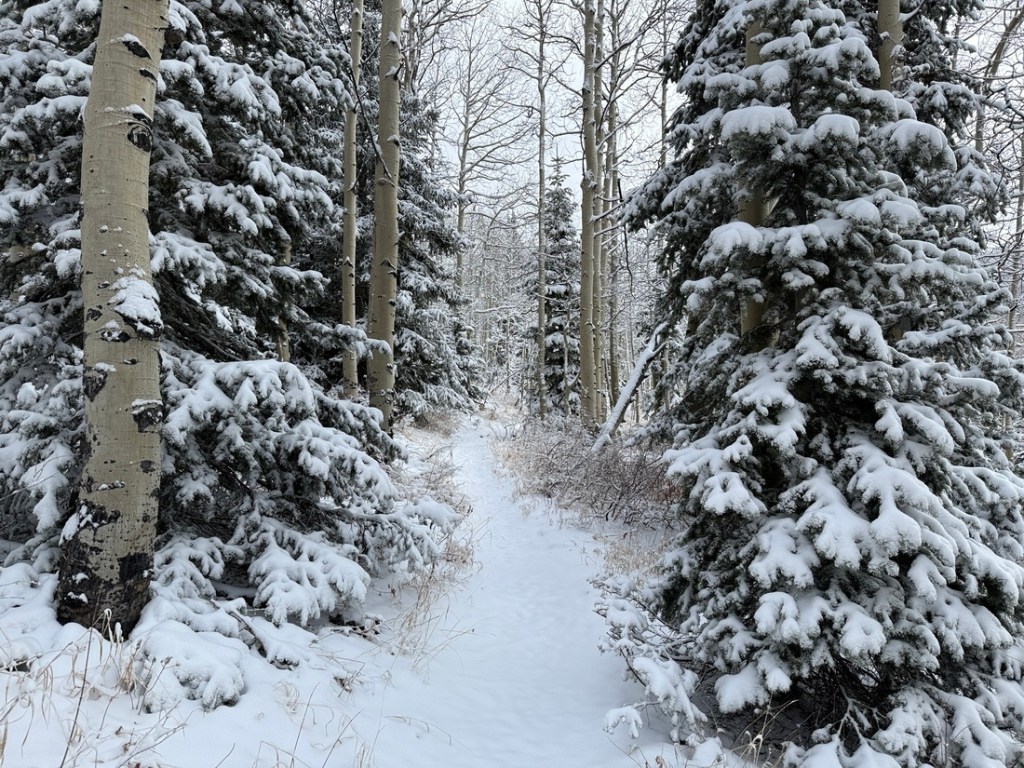 Snowy trail to Desolation Lake