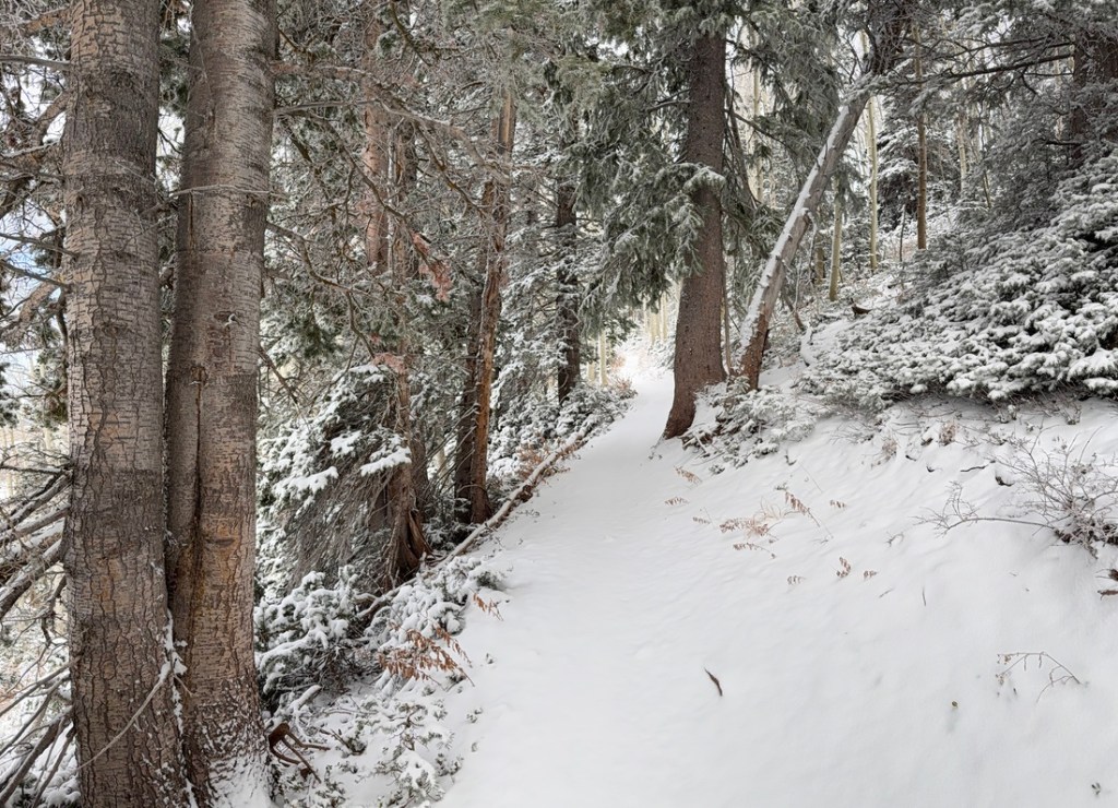 Snow covered trail to Desolation Lake