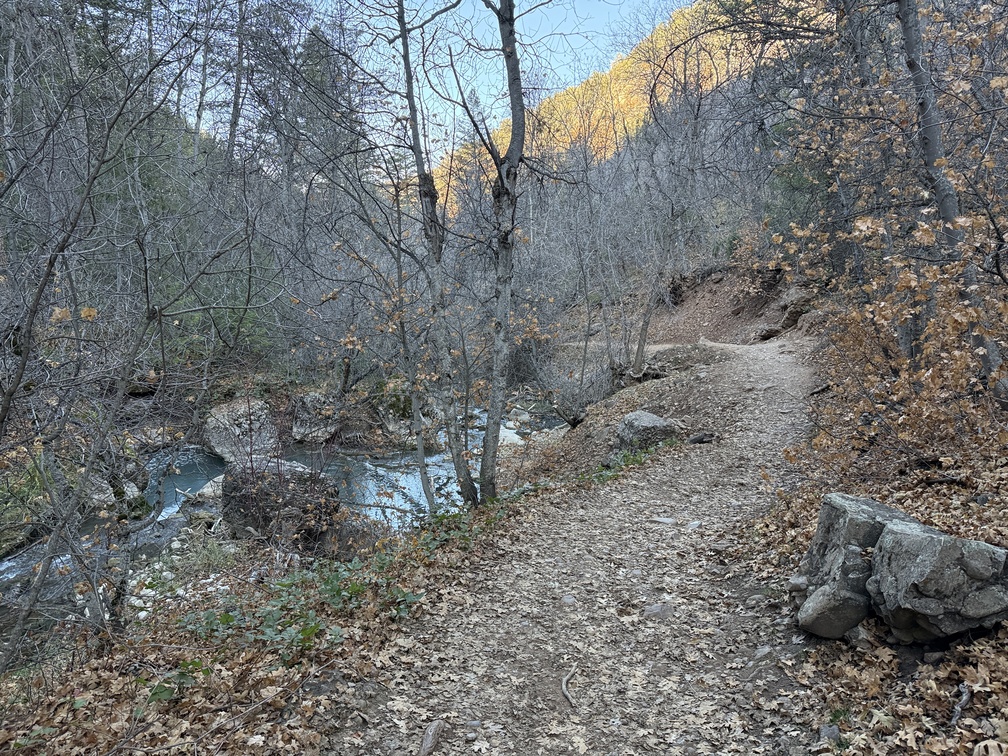 Trail along Fifth Water Creek