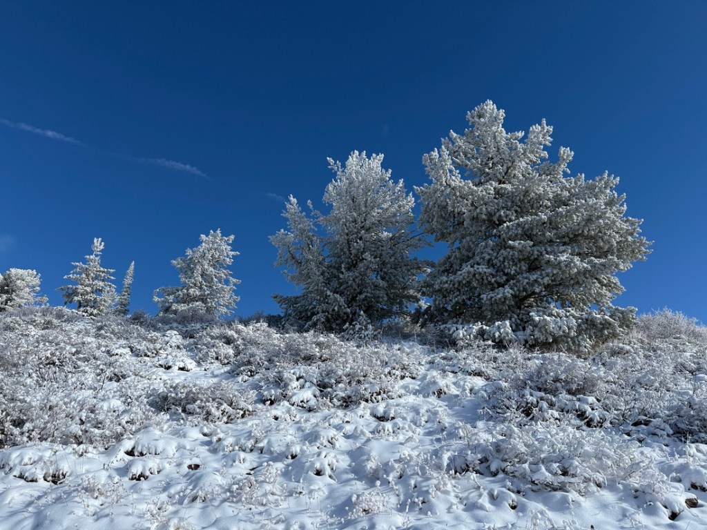 View from above Desolation Lake