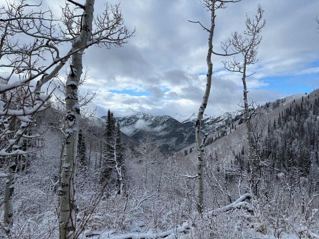 View across Big Cottonwood Canyon