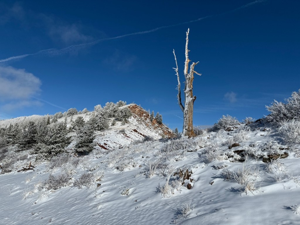 View from above Desolation Lake
