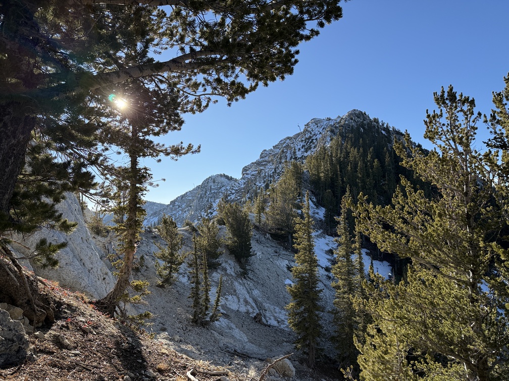 View of Honeycomb Cliffs from the Prince of Wales Mine trail