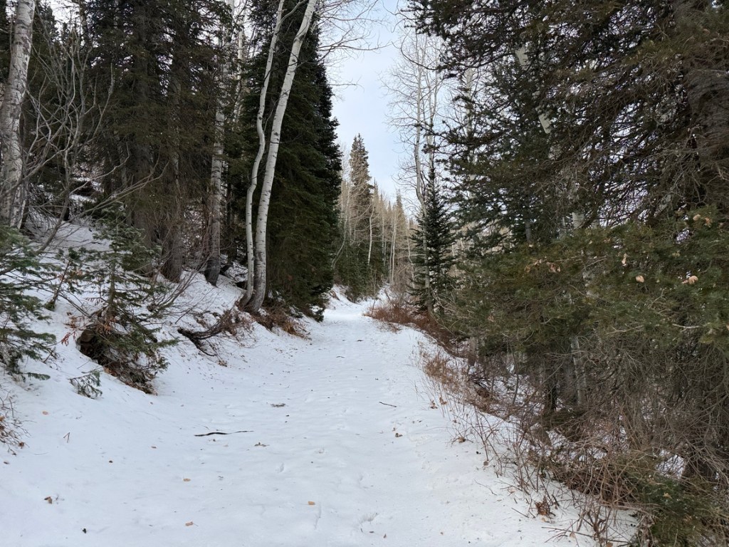 Gentle trail to Gloria Falls
