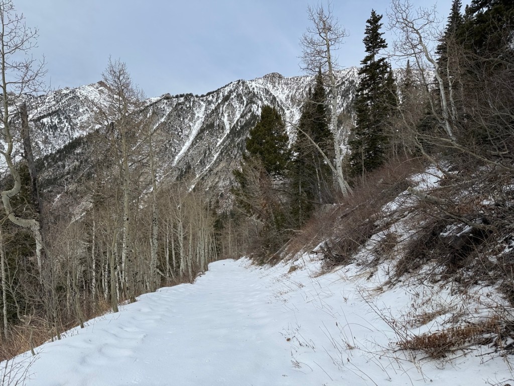 Going down White Pine Lake Trail