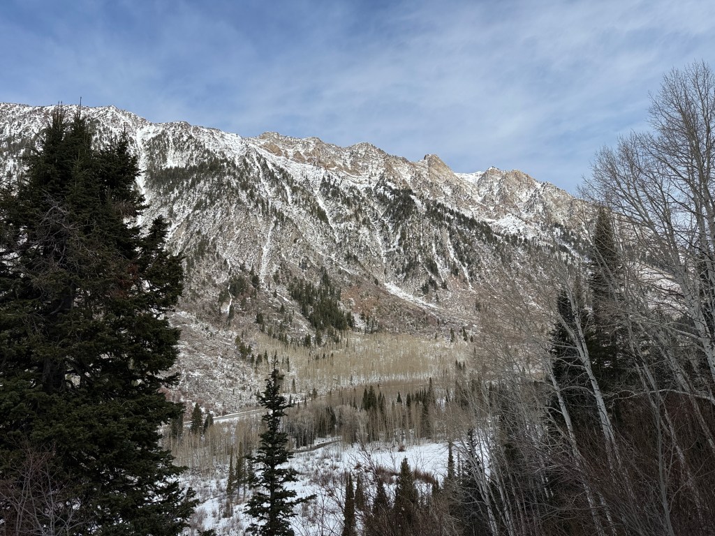 Wasatch Mountain view from Gloria Falls trail