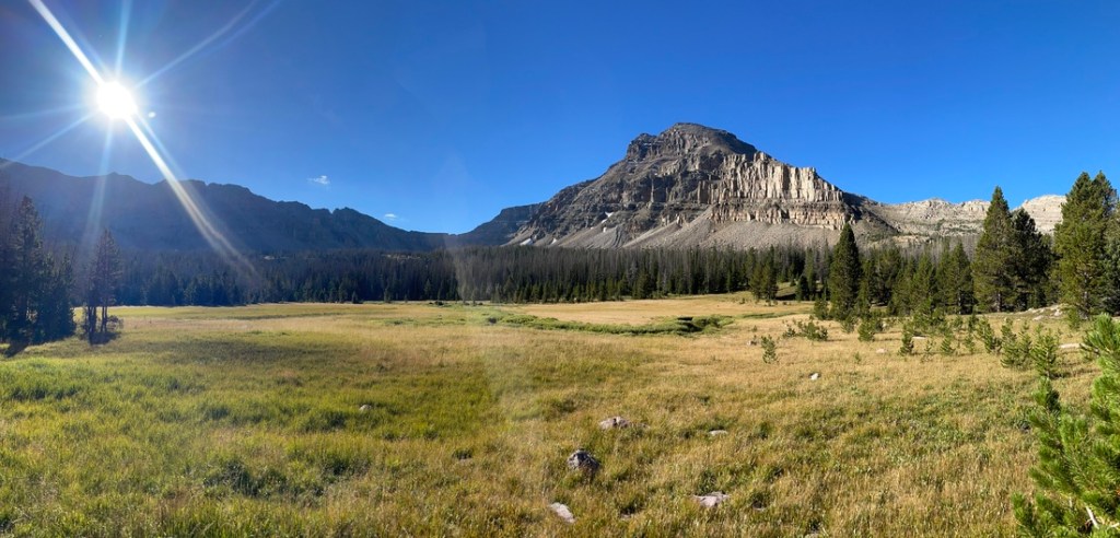 Meadow along the trail to Amethyst Lake, Utah