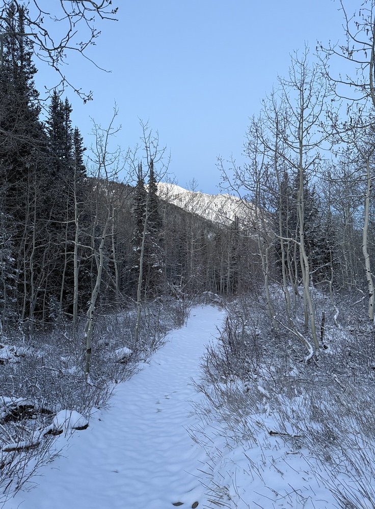 Trail to Gloria Falls with fresh snow
