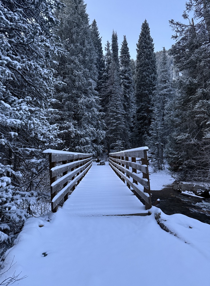 First bridge on the Gloria Falls Trail - Little Cottonwood Canyon, Utah