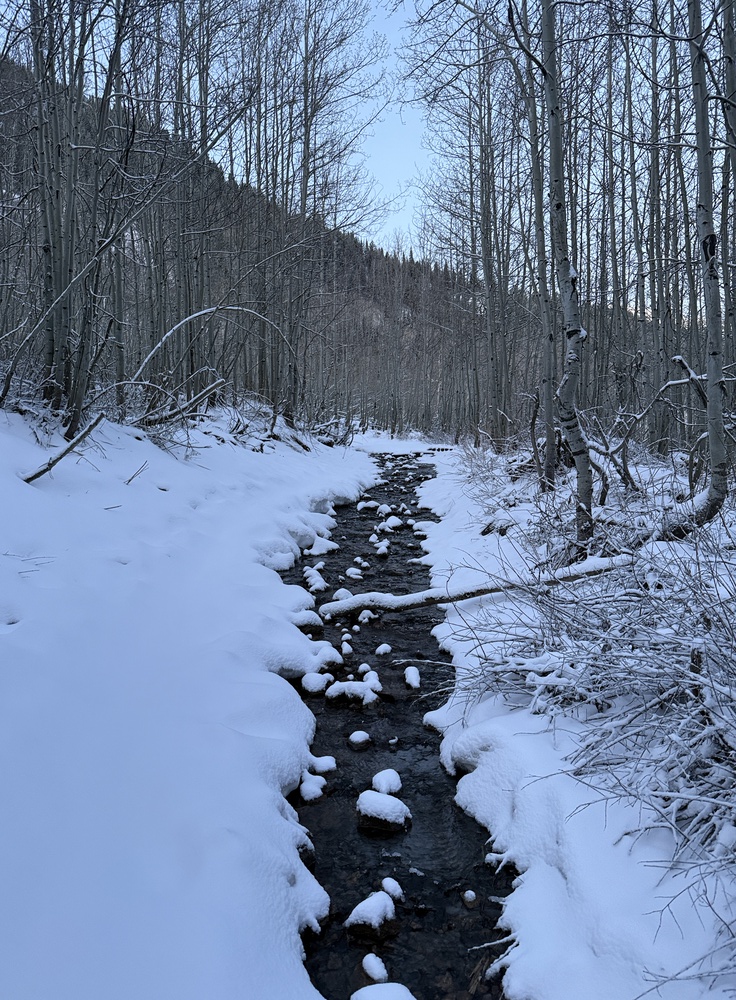 Wet trail to Gloria Falls with fresh snow