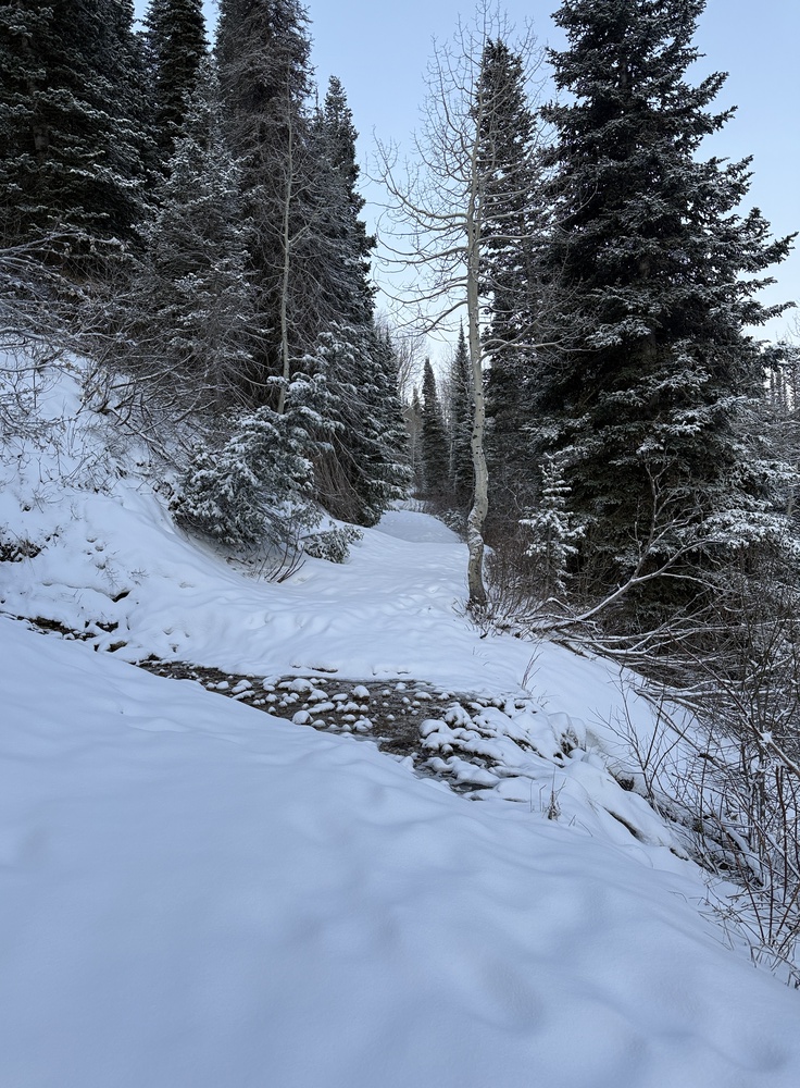 On the trail to Gloria Falls in fresh snow