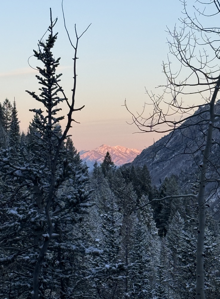 View toward the Salt Lake Valley from the Gloria Falls Trail