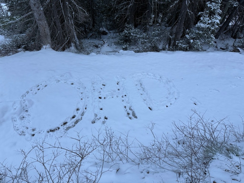 OHD (Old Hiking Dude) - in the snow on the Gloria Falls Trail